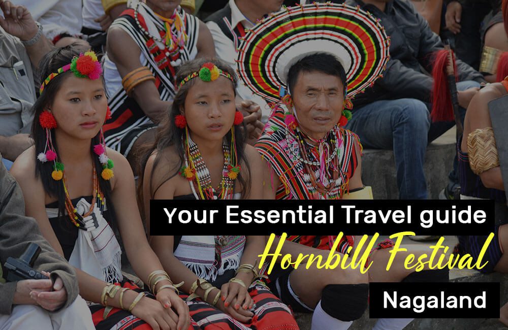 Hornbill Festival