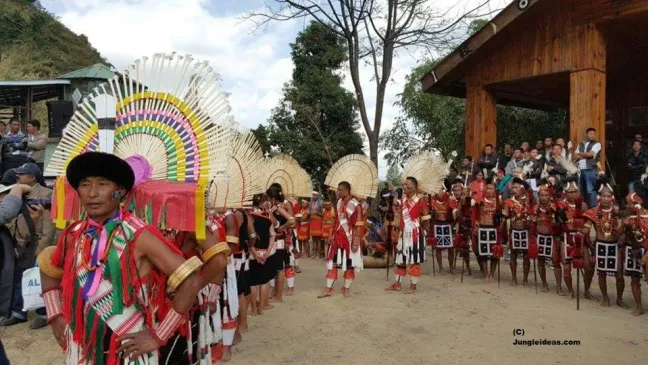 Hornbill Campsite